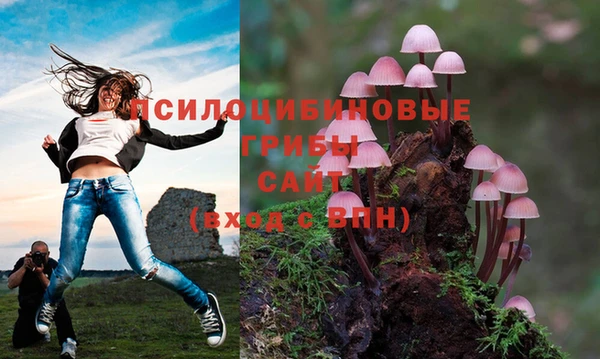 таблы Алексин