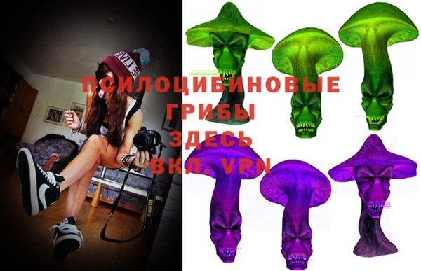 бутират Алексеевка